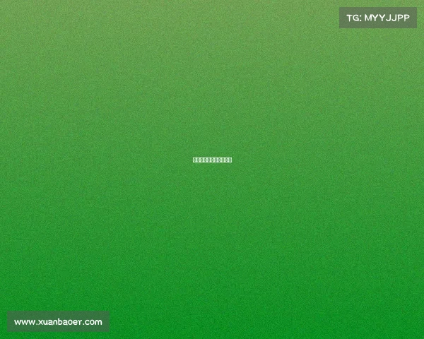 邓肯经典比赛总决赛视频